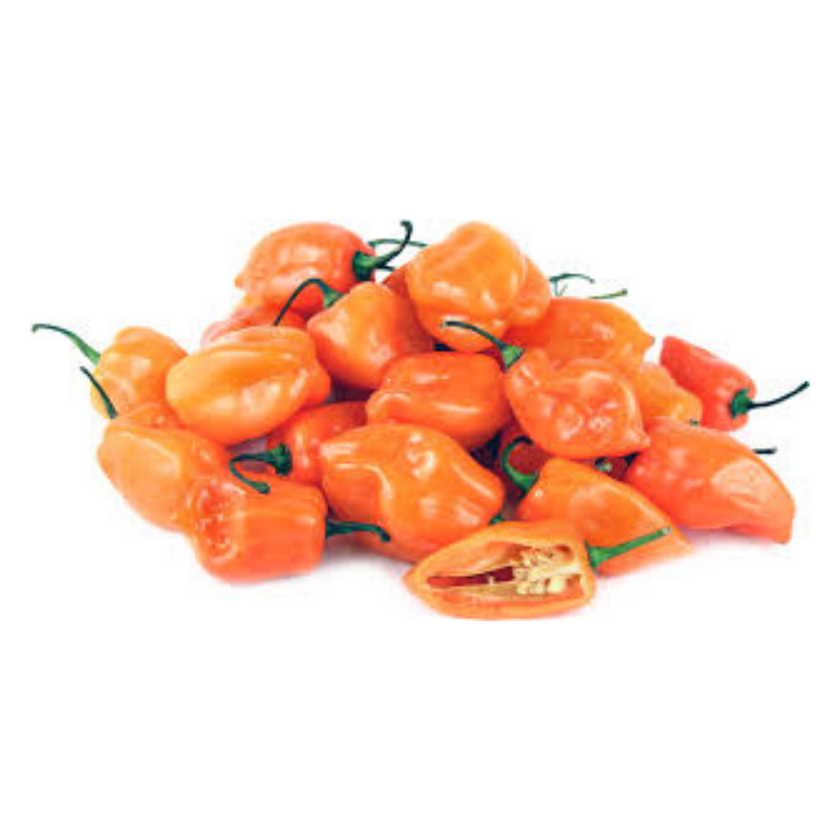 Fresh Orange Habanero Pepper