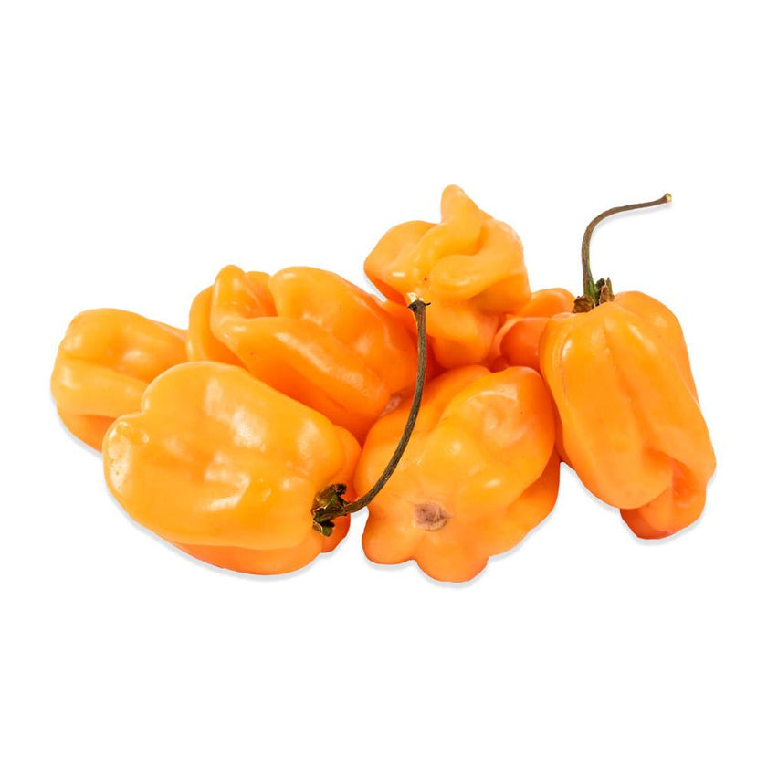 Fresh Orange Habanero Pepper