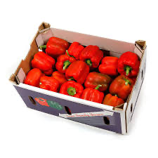 Fresh Red Bell Pepper