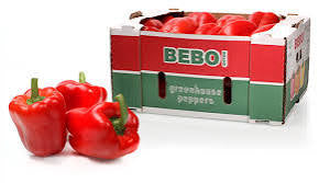 Fresh Red Bell Pepper