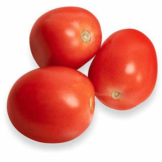 Fresh Roma Tomatoes