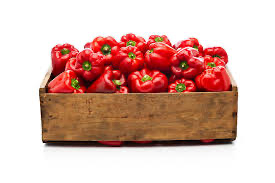 Fresh Red Bell Pepper
