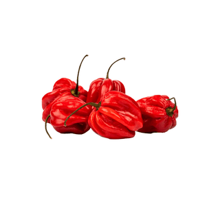 Fresh Red Habanero Pepper Hot & Flavorful Chili