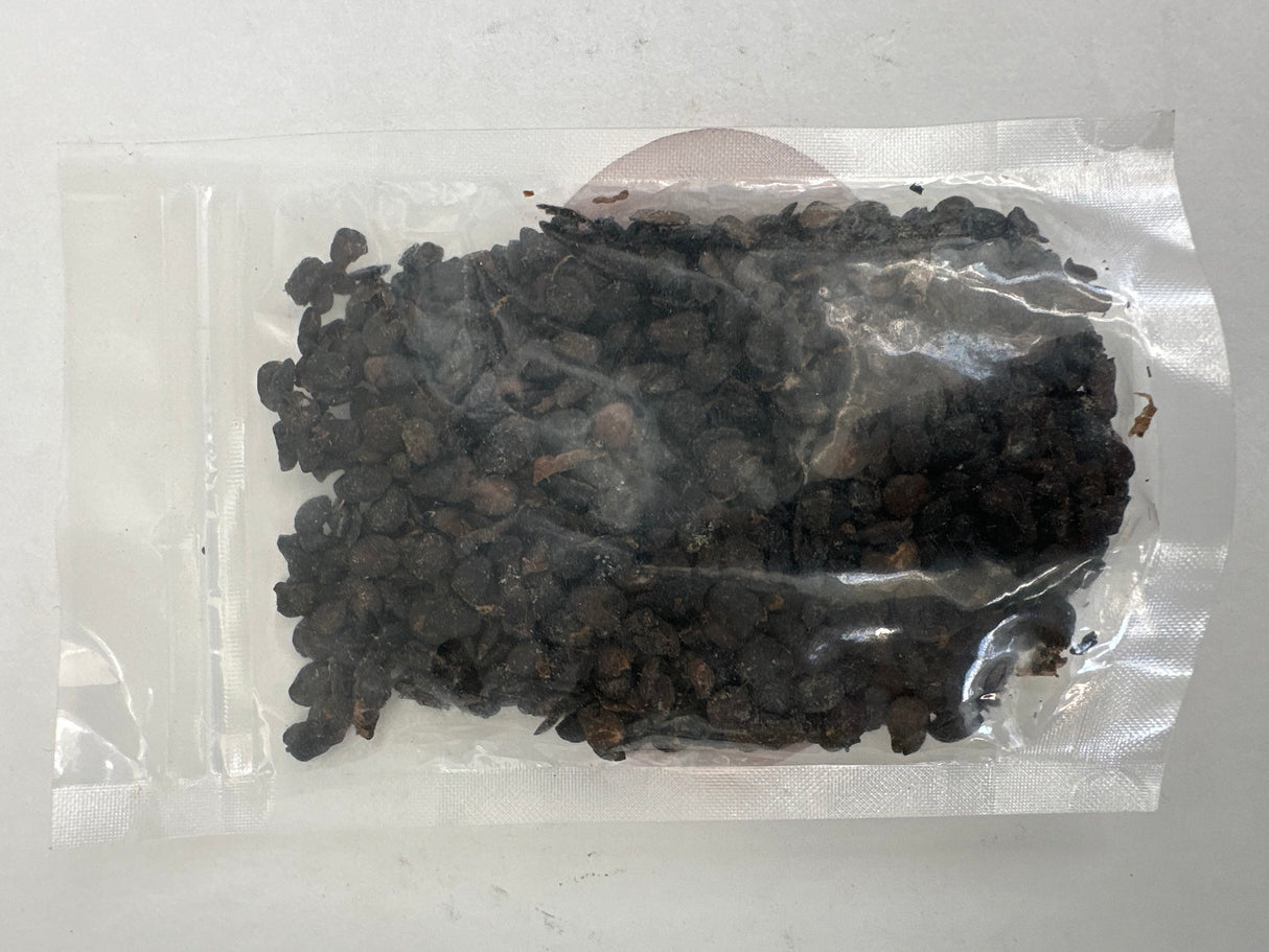 Dry Iru – Intensely Fermented African Locust Bean for Traditional Soups & Stews