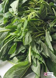 Fresh Spinach Vegetable Leaf