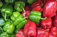 Fresh Green & Red Bell Pepper