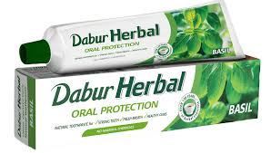Dabur Herbal Oral Protection 140 g Tube