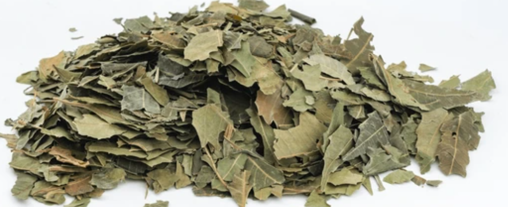 Organic Pure Neem Leaf (Dried) Azadirachta Indica